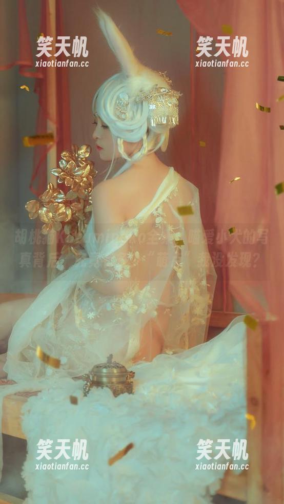 胡桃猫Kurumineko 胡桃猫Kurumineko全集,喵爱小犬的写真背后,究竟有多少“萌点”我没发现?