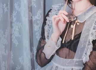 西园寺南歌的最新透明女仆资源：光影交织间的神秘魅力